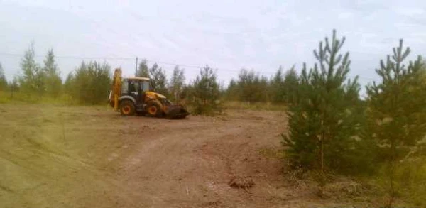Фото Услуги JCB Кольчугино