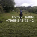 Фото №2 Покос травы