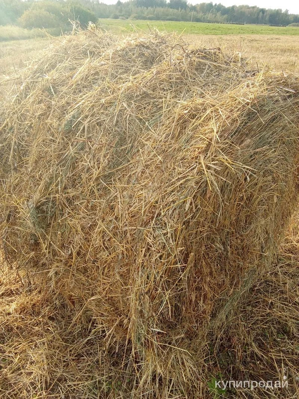 Фото Сено