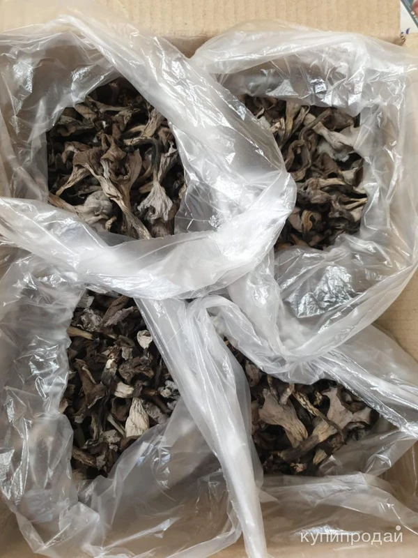 Фото Чёрная лисичка сушёная