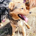 Фото №3 Юга