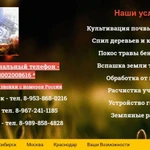 Фото №12 Расчистка запущенных, заброшенных участков
