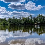 Фото №12 Продаю готовый бизнес. Фермерское хозяйство 