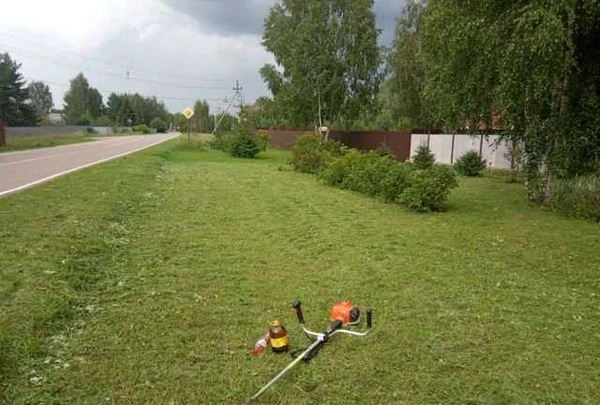 Фото Покос травы