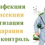 Фото №2 Санобработка