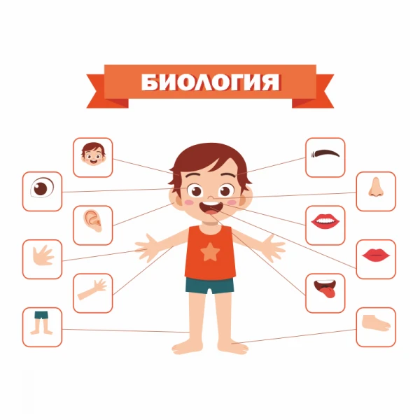 Фото Репетитор по биологии