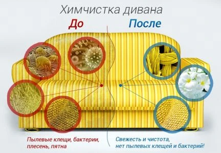 Фото Химчистка на дому