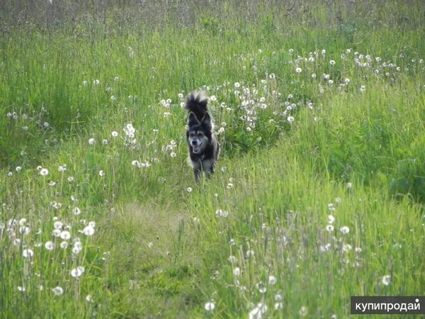 Фото Передержка