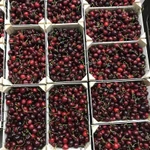 Фото №8 Продаем черешню