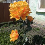 Фото №5 Ростовые цветы светильники 