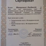 Фото №6 Груминг
