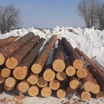 Фото №34 Строительство загородных домов