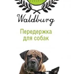 Гостиница, передержка для собак I Калининград