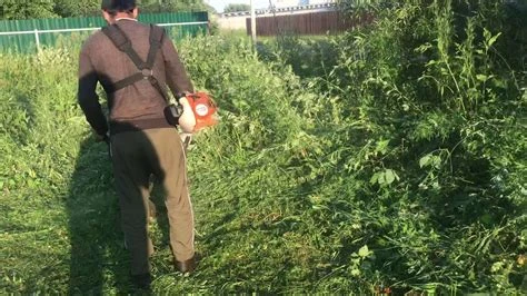 Фото Покос травы триммером недорого
