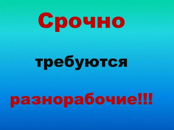 Фото Требуются разнорабочие. Оплата сразу. 