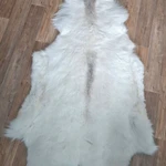 Фото №2 Шкура оленя