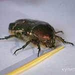 Фото №4 Макролинза JSR Close UP +10 (82 мм) Макрофильтр на объектив 82 мм