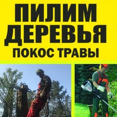 Фото Зачистка участков, спил деревьев, вывоз мусора