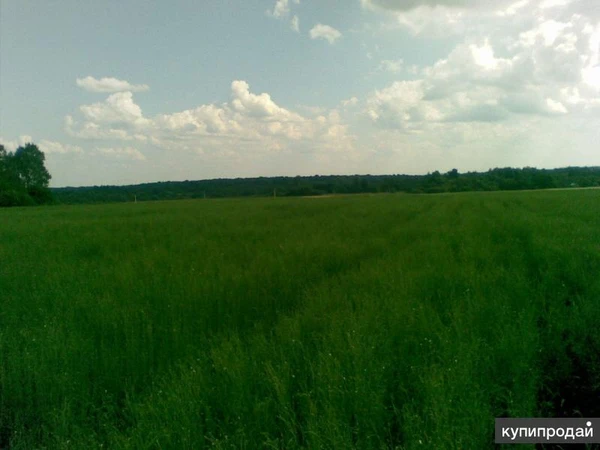 Фото Земельный участок 2960 Га