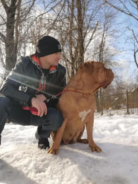 Фото Ищу работу с ежедневной оплатой труда