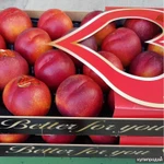 Фото №3 Продаем нектарин