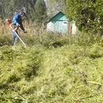 Фото №4 Ваш участок зарос Нужен покос травы Я помогу Вам