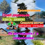 Спил деревьев/ Обрезка деревьев/ Удаление/ Валка/ Уборка участка