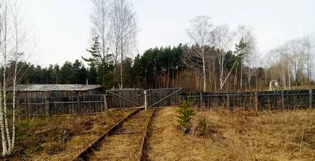 Фото Жд тупик.земельный участок 0,3 Га. право пользования