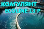 фото Коагулянт Ecoline 13 P для очистки воды