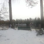 Фото №15 Расчистка спил участка в живописной Вырице. Фотоотчет. 
