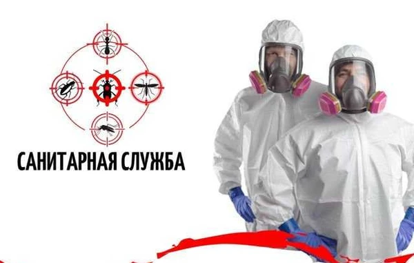 Фото Уничтожение тараканов, клопов, клещей, грызунов
