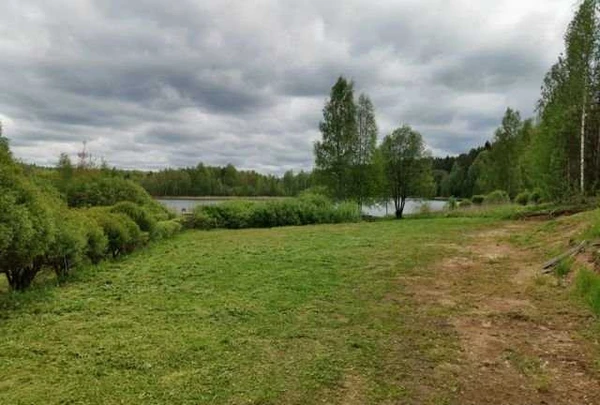 Фото Покос травы и борщевика