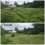 Фото №5 Покос травы, спиливание деревьев