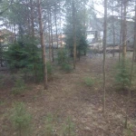 Фото №6 ВЫПОЛНЕННЫЙ ОБЪЕКТ по спилу кустов и деревьев.