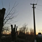 Фото №4 Спил деревьев любой сложности. Без авто вышки. 