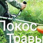 Покос травы