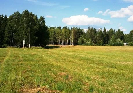 Фото Участок в Гришино