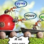 Грузчики Чебоксары