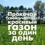 Укладка рулонного газона