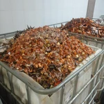 Фото №2 Продаем рыбные отходы