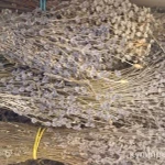 Фото №4 Лаванда Крымская пучки/россыпь.