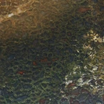 Фото №5 Динозавр - Коллекционная Шкатулка из окаменевшей кости  - камня Динобон.