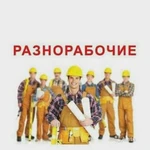 Разнорабочие