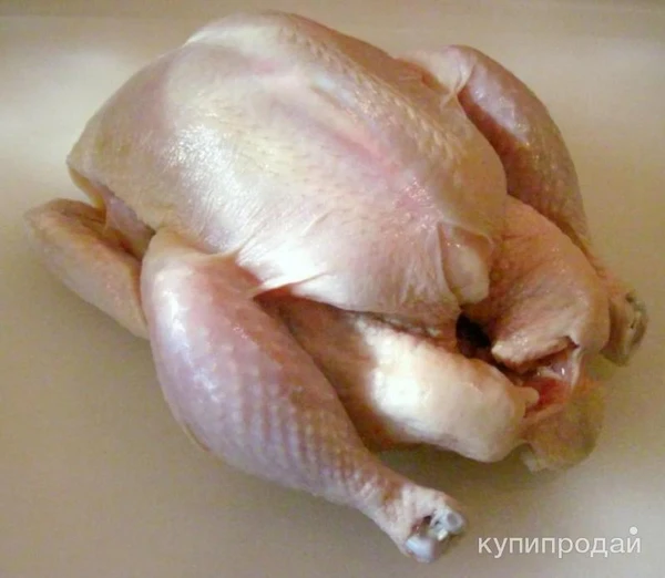 Фото Мясо бройлера (тушка)