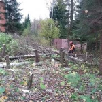 Расчистка лесных участков под строительство