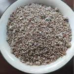 Фото №6 Грибы, мицелий ежовика гребенчатого (гериций, львиная грива, ямабушитаке)