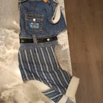 Фото №2 Комбинезон для собак