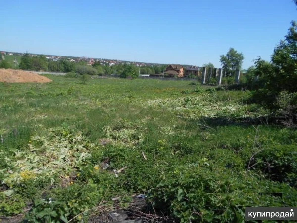 Фото Предоставим открытую площадку для ведения совместного бизнеса