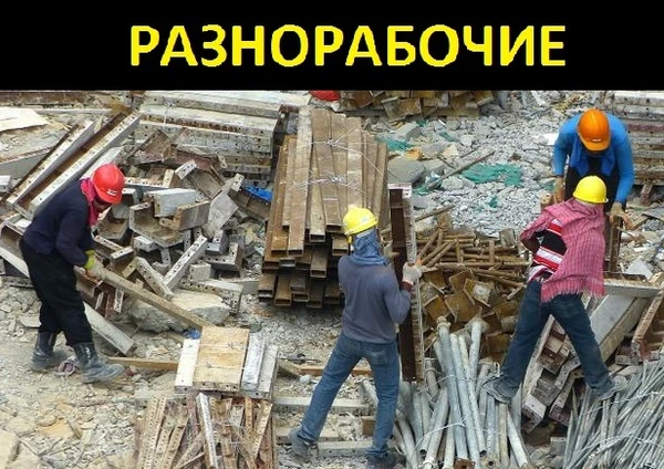 Фото Разнорабочие