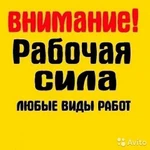 Утилизация, вывоз мусора.